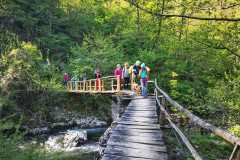 IMG-20210509-WA0019-01