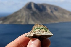 PXL_20201013_082433990.PORTRAIT-01.COVER_